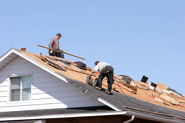 Best Gutter Installation and Repair  in Taunton, MA