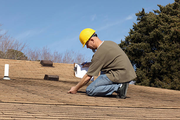 Best Roof Maintenance and Cleaning  in Taunton, MA